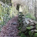 Pantón Ribeira Sacra 4* Ferreira