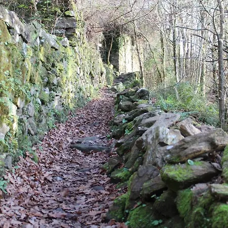 Panton Ribeira Sacra 4* Santa María