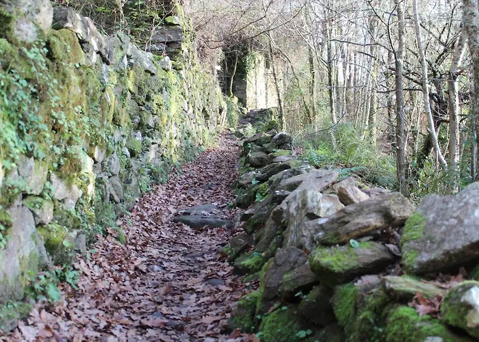 Panton Ribeira Sacra 4* Santa María